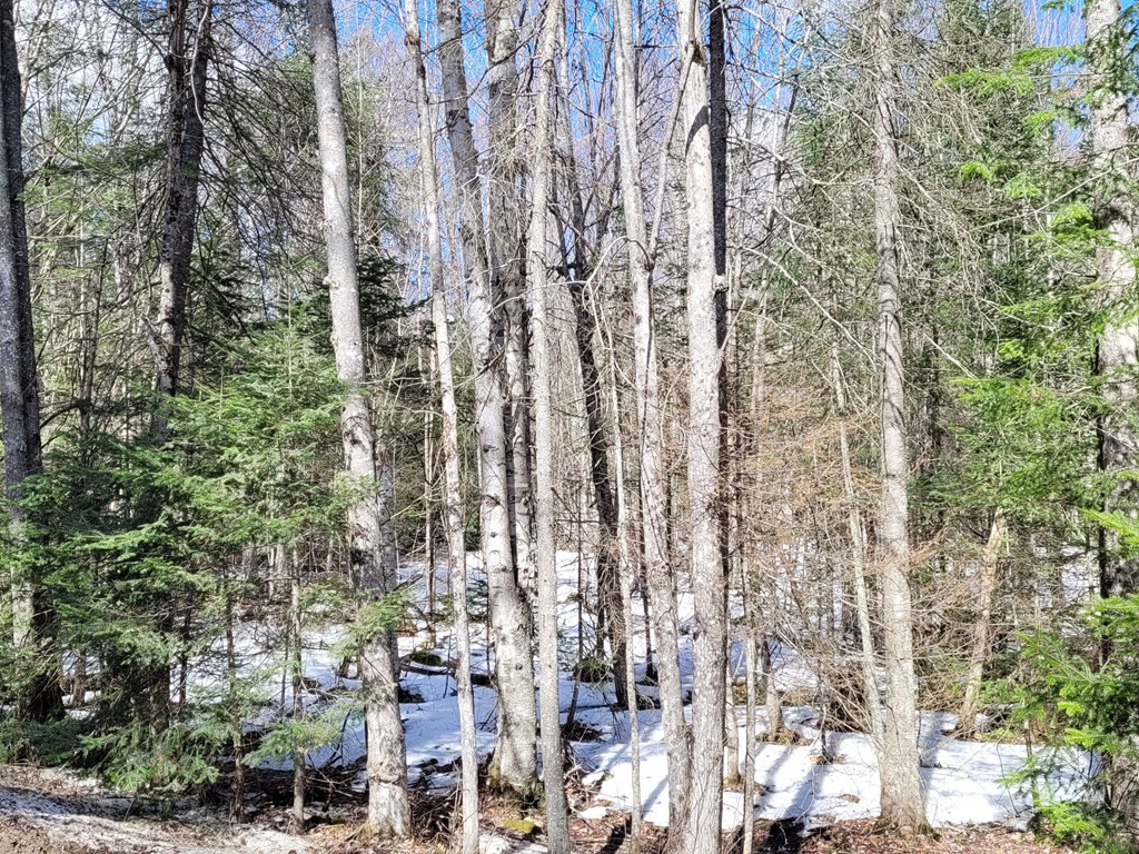 783 & 747 Alder Brook Road, Vermontville, New York image 3
