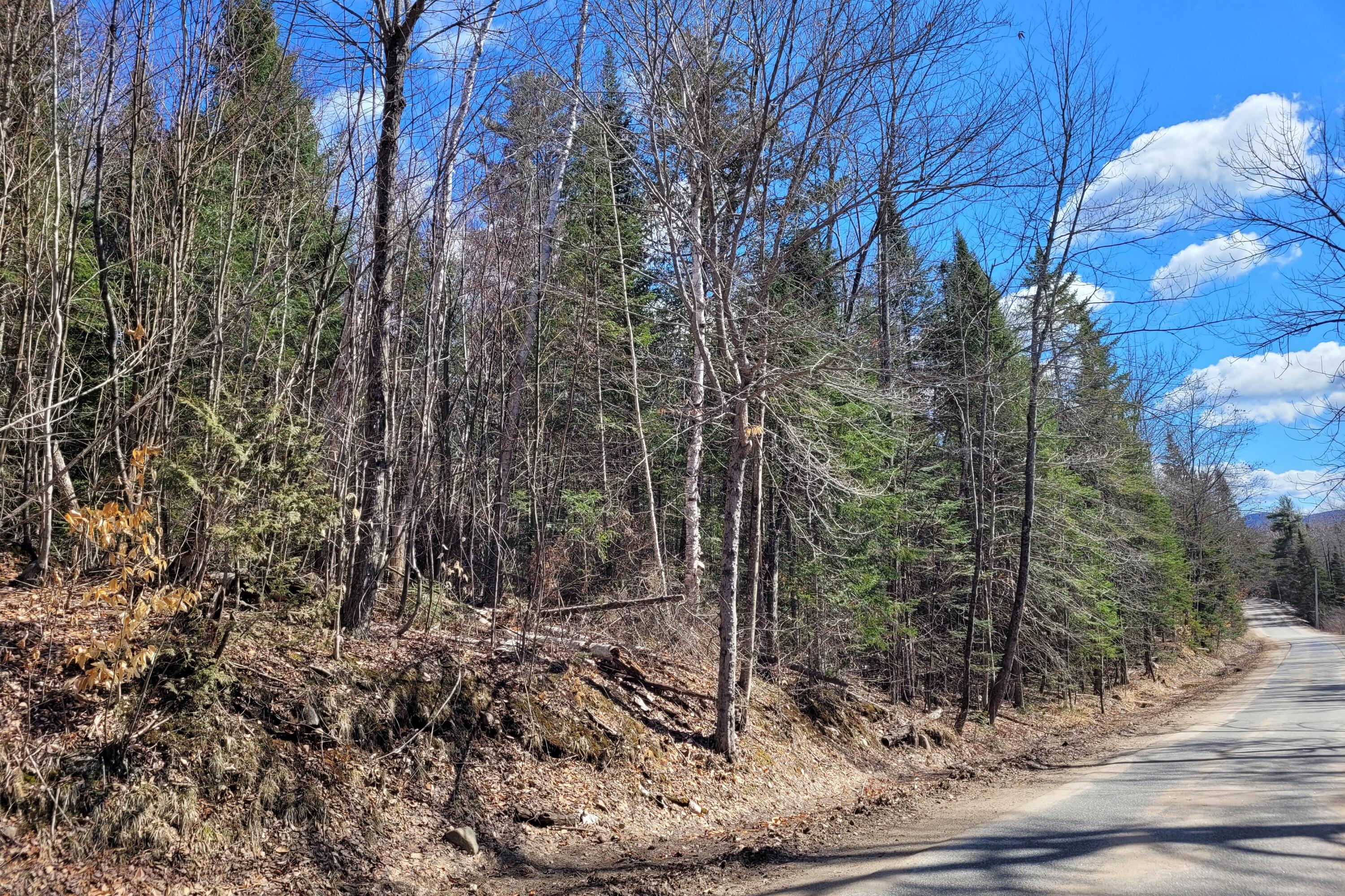 783 & 747 Alder Brook Road, Vermontville, New York image 11