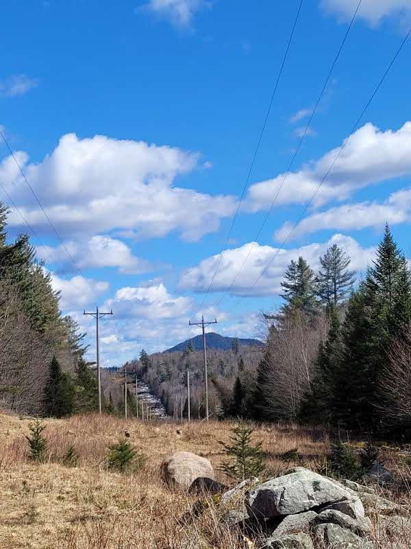 783 & 747 Alder Brook Road, Vermontville, New York image 9