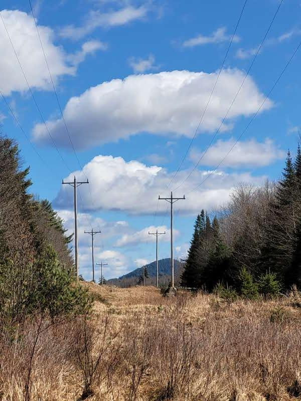 783 & 747 Alder Brook Road, Vermontville, New York image 7