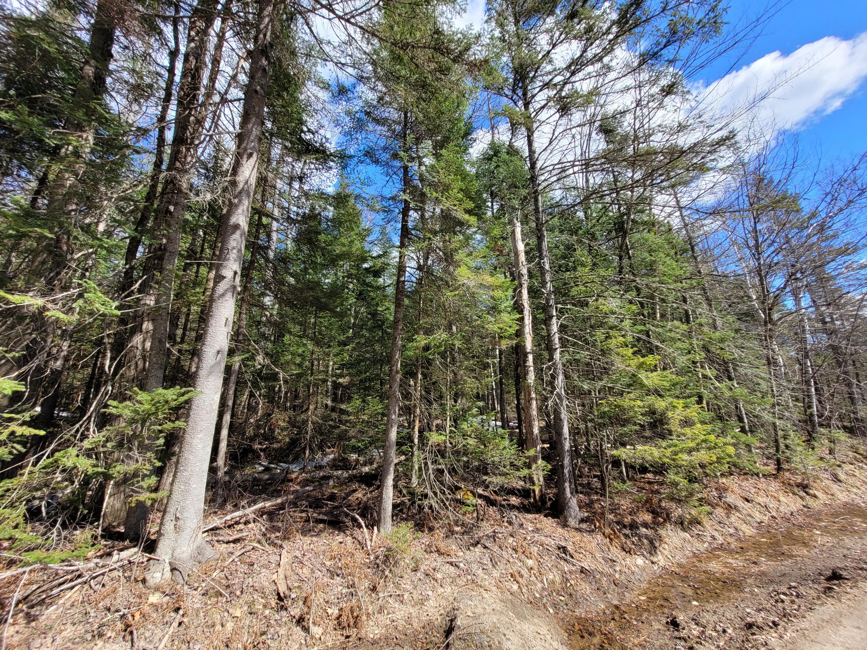 783 & 747 Alder Brook Road, Vermontville, New York image 10