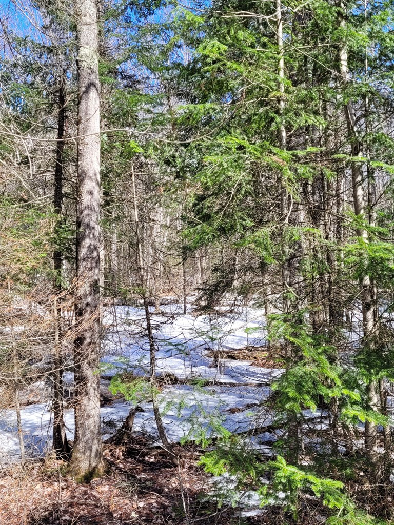 783 & 747 Alder Brook Road, Vermontville, New York image 5