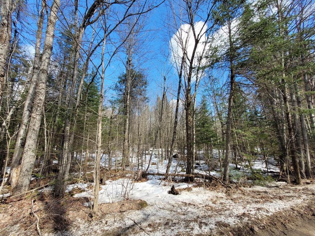 783 & 747 Alder Brook Road, Vermontville, New York image 2