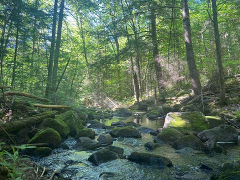 Vacant Land For Sale - 161 Riddle Road<br/> Mineville, NY 12956