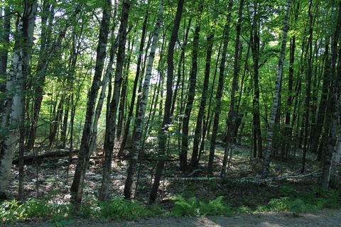 Photo of 1414 North Gore Road, Chestertown, NY 12817 (MLS # 206750)