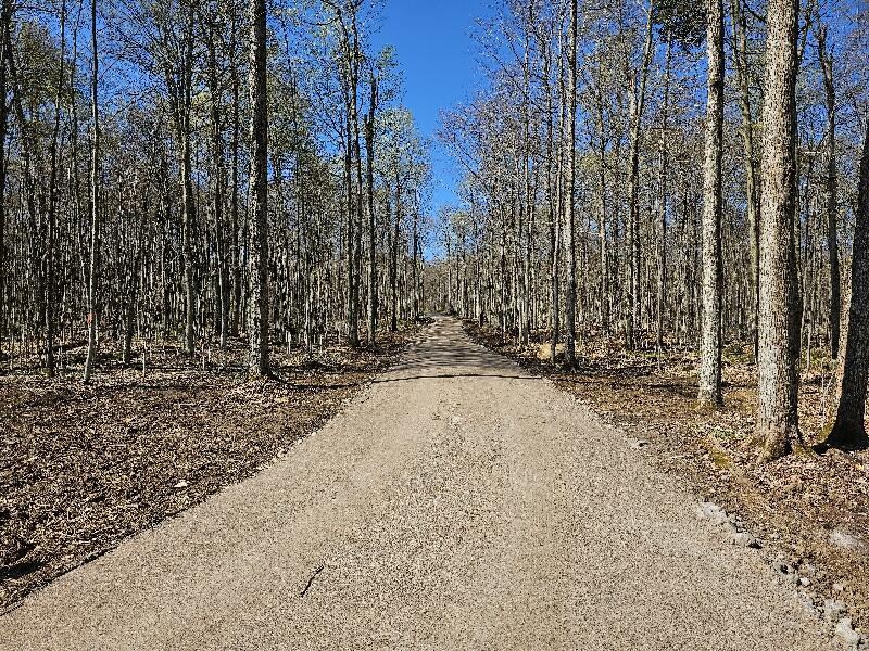 9907 Sh 3 Drive, Piercefield, Alabama image 4