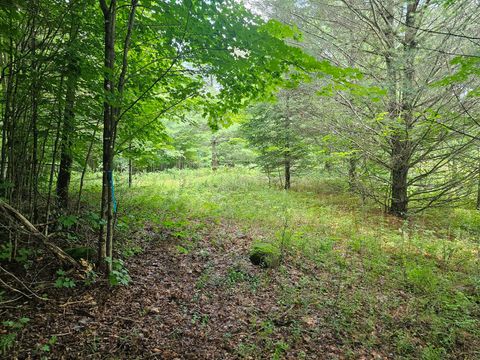 Vacant Land For Sale - 9907 Sh 3<br/> Piercefield, NY 12973
