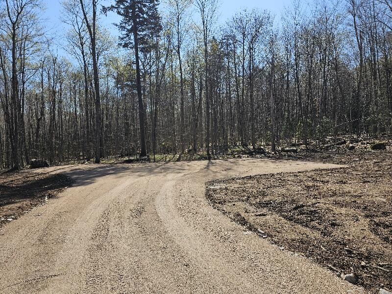 9907 Sh 3 Drive, Piercefield, Alabama image 5