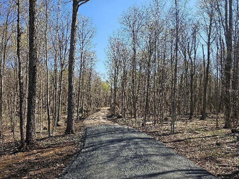 9907 Sh 3 Drive, Piercefield, Alabama image 3