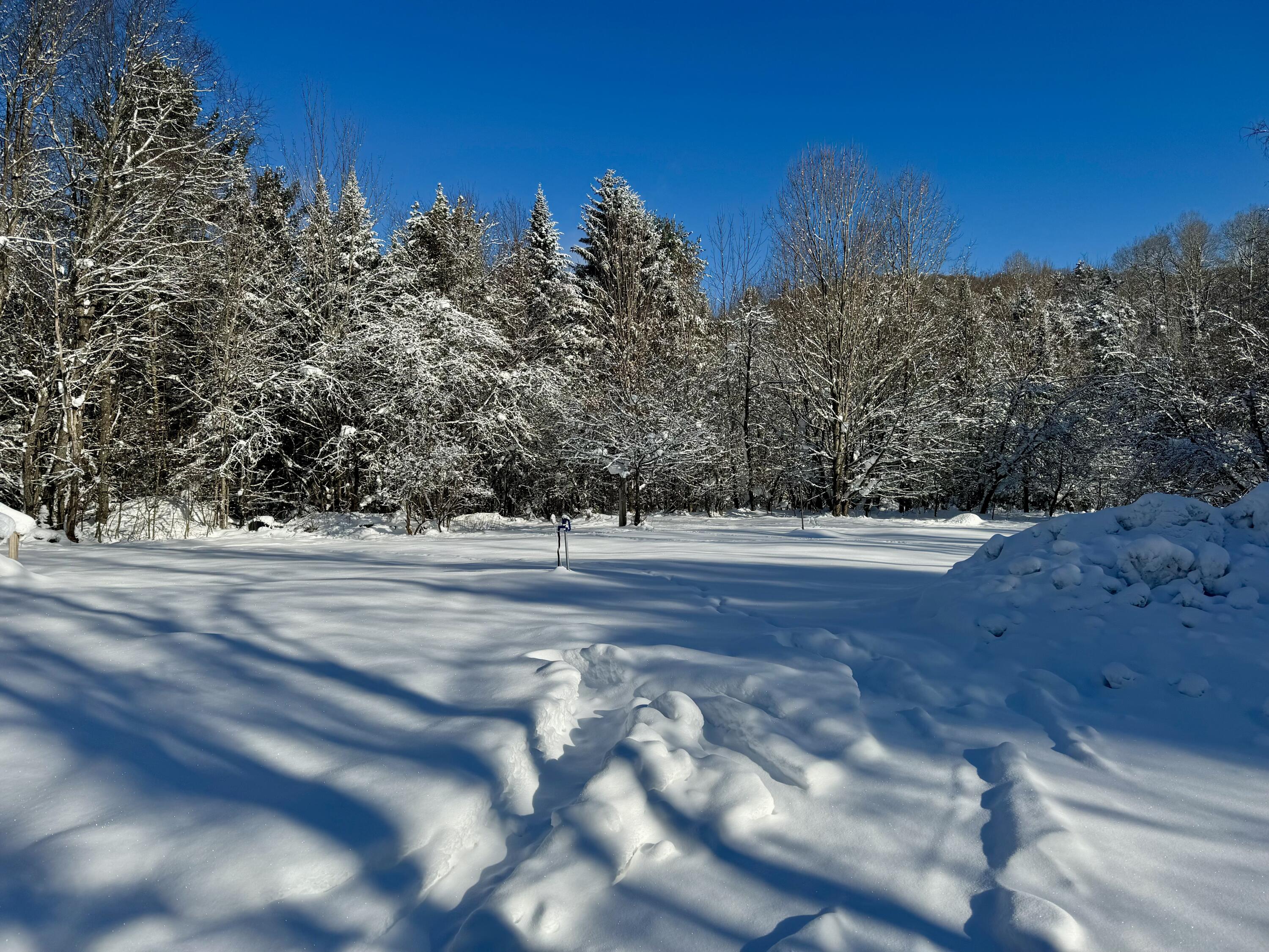 172 Brown Benoit Rd, Owls Head, New York image 2