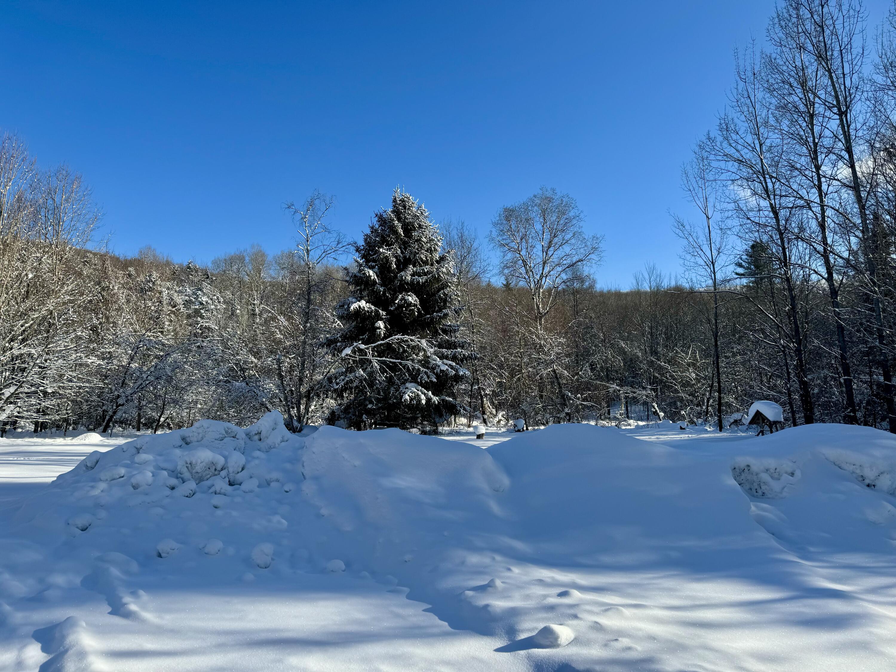 172 Brown Benoit Rd, Owls Head, New York image 21