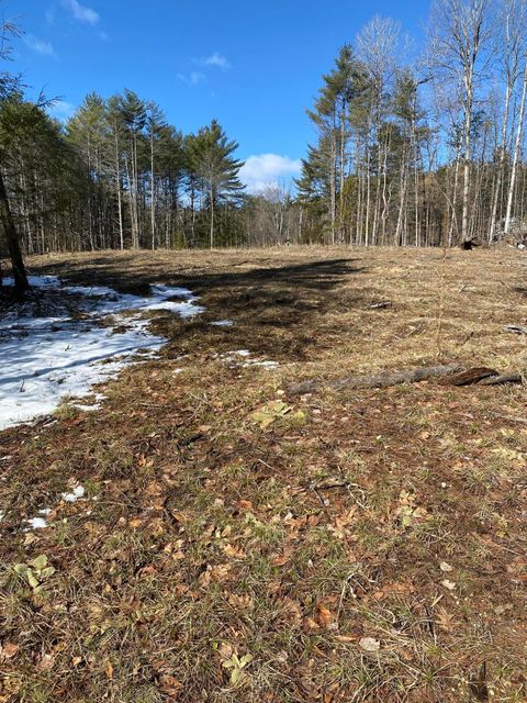 Vacant Land For Sale - 530 Fox Run Road Street<br/> Essex County, Lewis, NY 12950