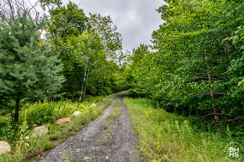 L-12/13/14 Mt Pisgah Park, Saranac Lake, New York image 4