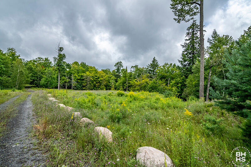 L-12/13/14 Mt Pisgah Park, Saranac Lake, New York image 3