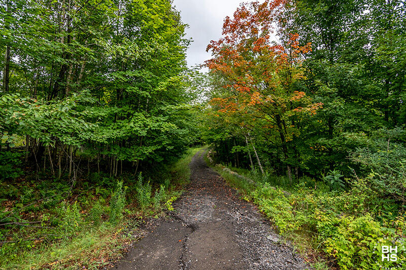 L-12/13/14 Mt Pisgah Park, Saranac Lake, New York image 6