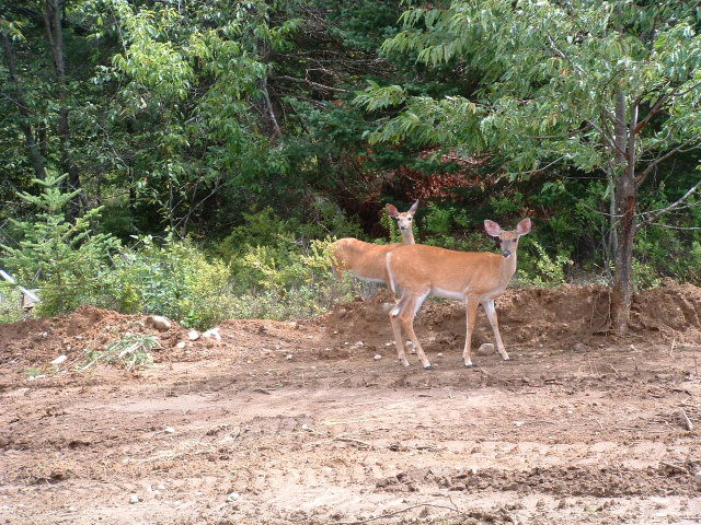 Lot 6 Daigneau Trail, Merrillsville, New York image 4