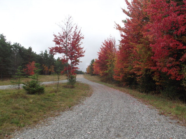 Lot 6 Daigneau Trail, Merrillsville, New York image 3