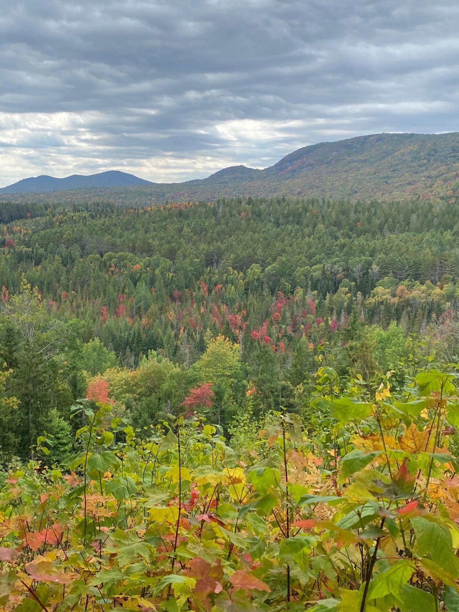 Lot 19,20,21,22 Grand View