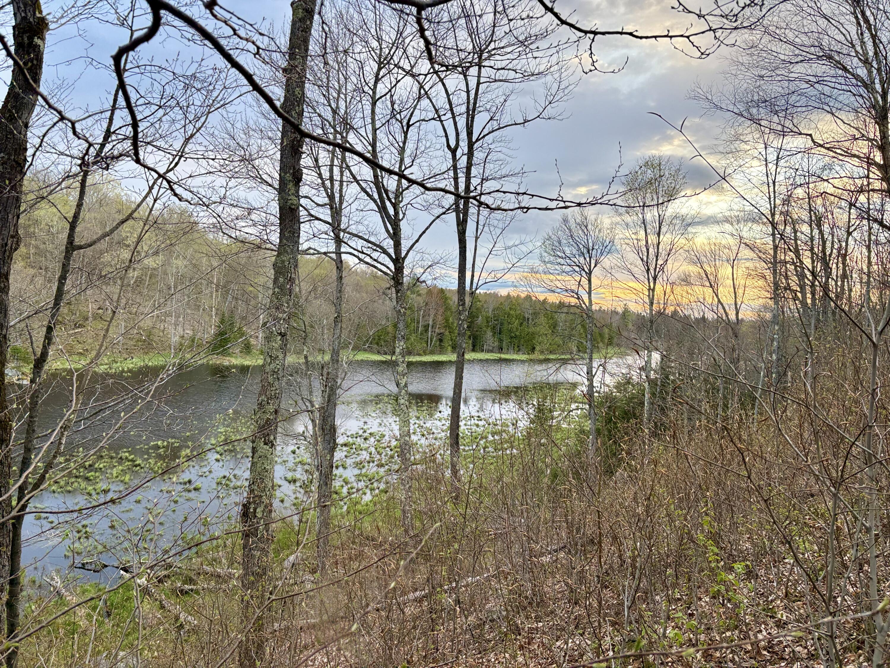 98 Chase Road, Dickinson Center, New York image 33