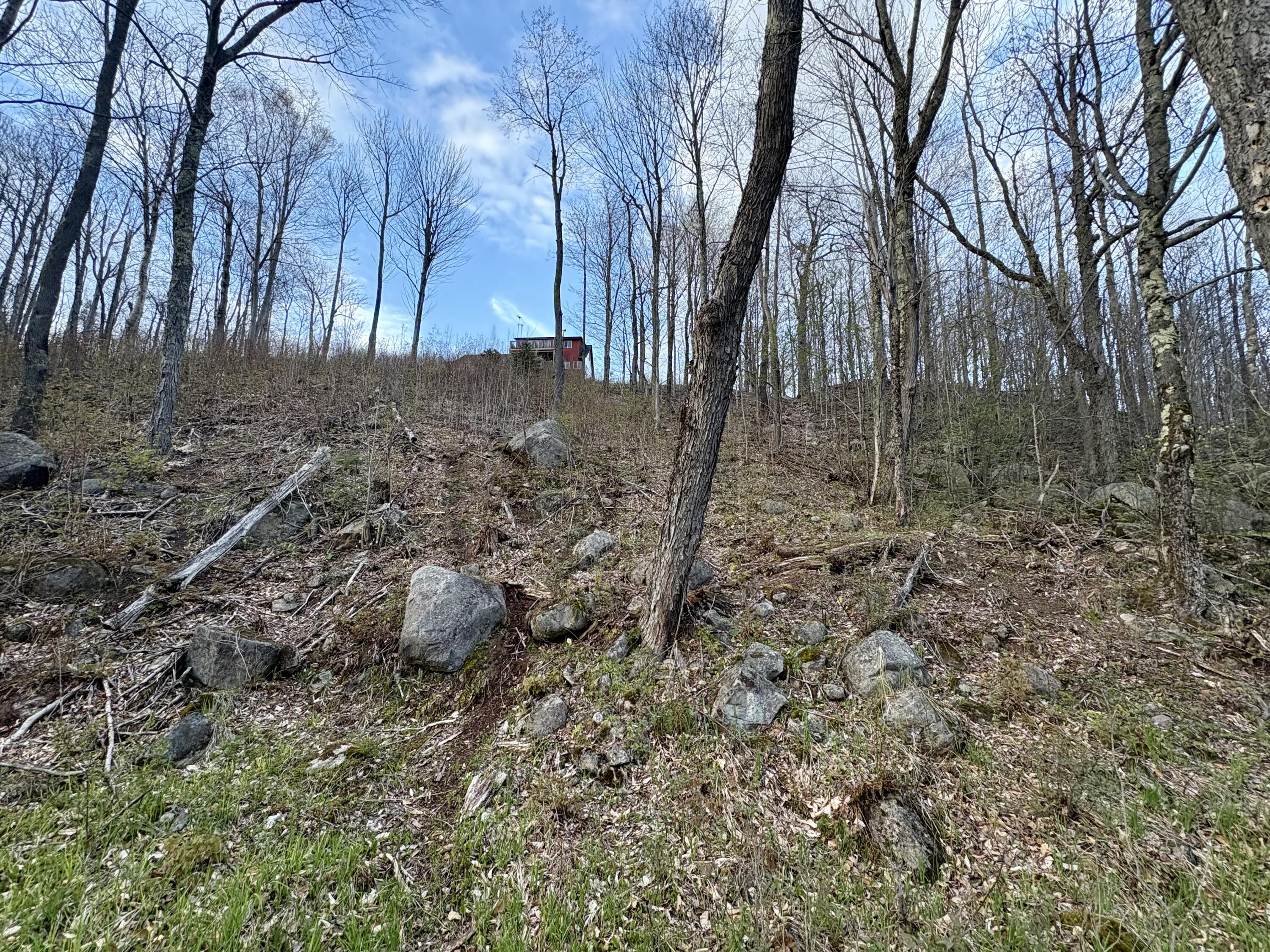 98 Chase Road, Dickinson Center, New York image 9