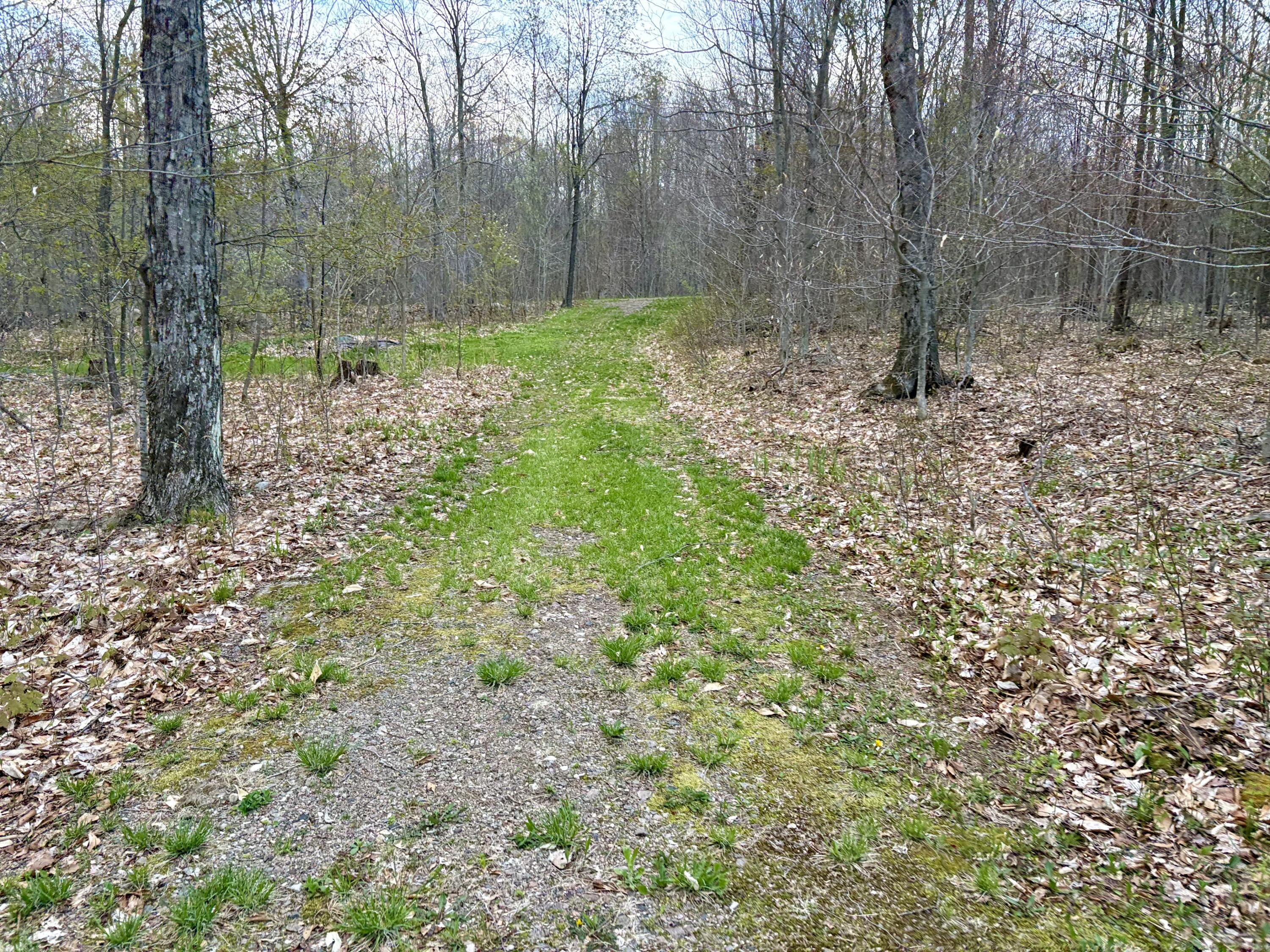 98 Chase Road, Dickinson Center, New York image 30