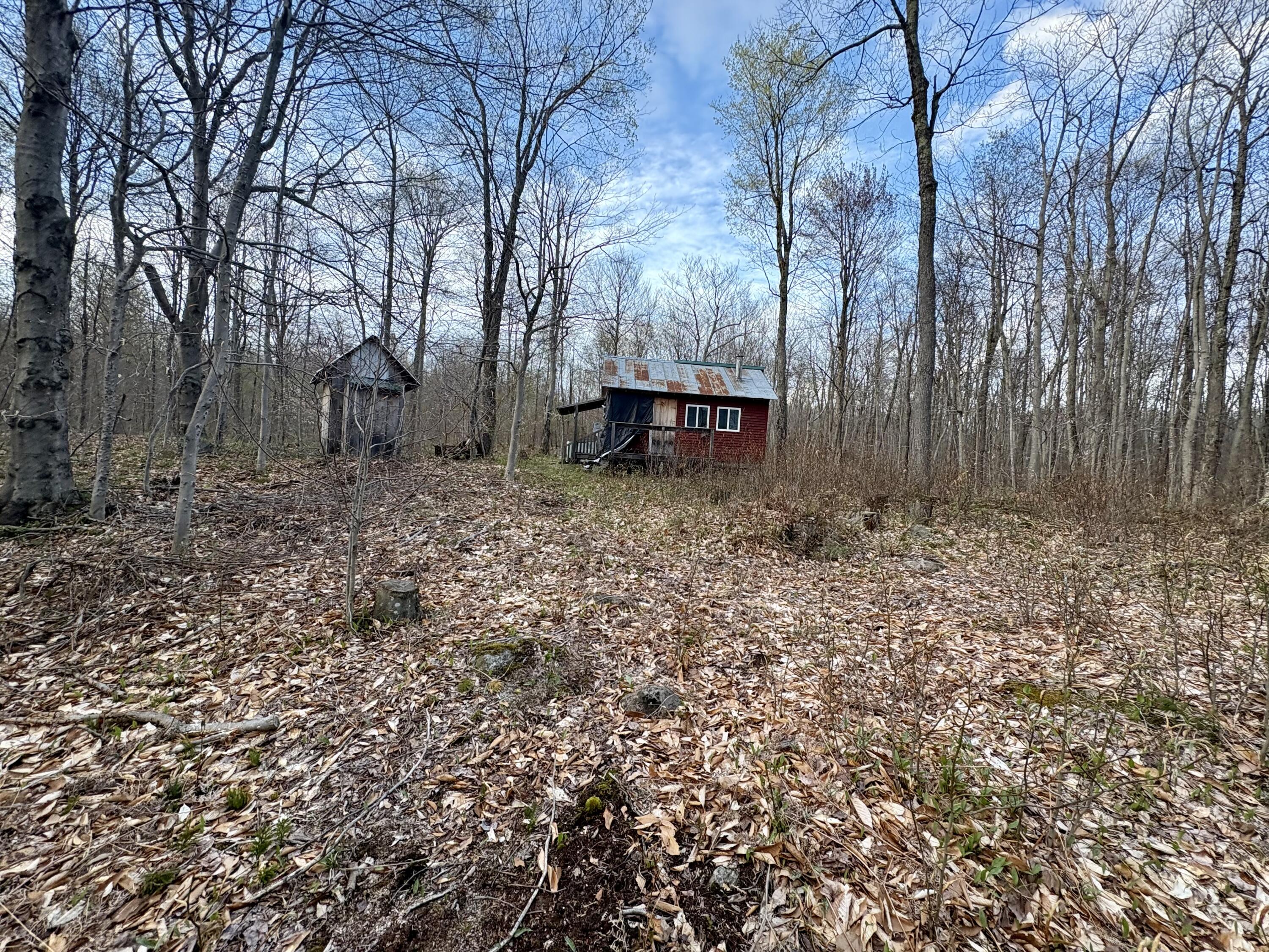 98 Chase Road, Dickinson Center, New York image 7