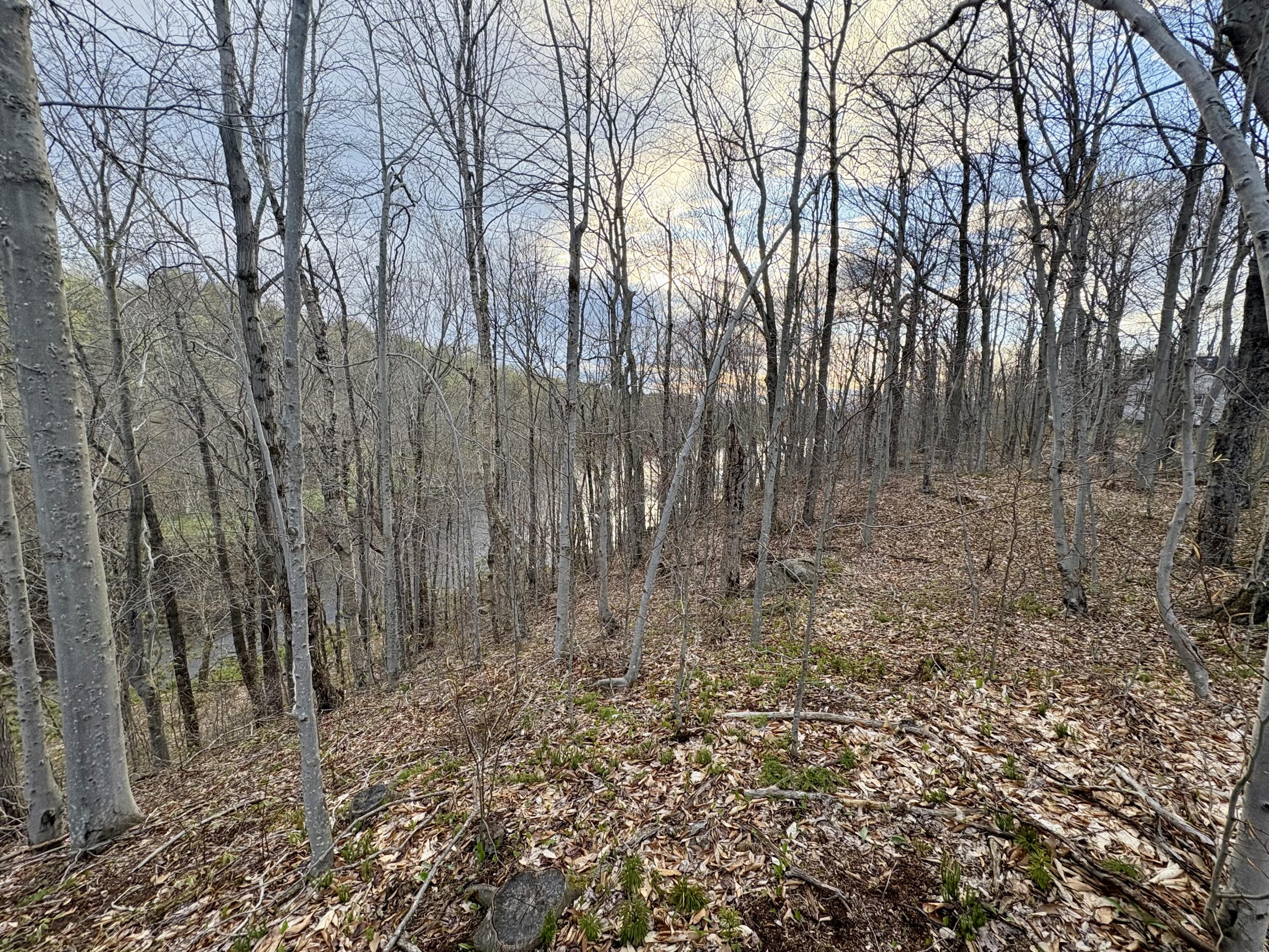 98 Chase Road, Dickinson Center, New York image 35