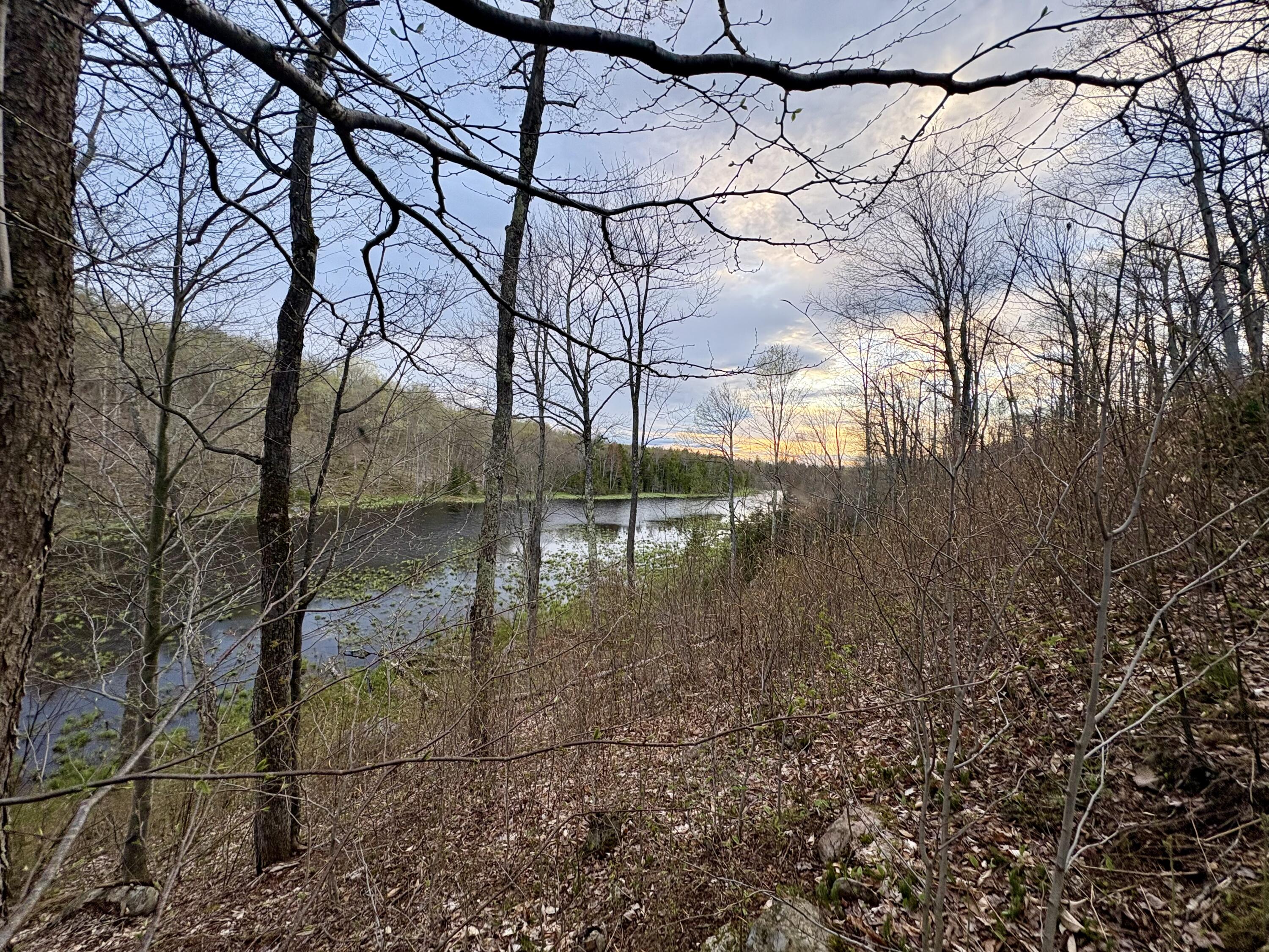 98 Chase Road, Dickinson Center, New York image 34