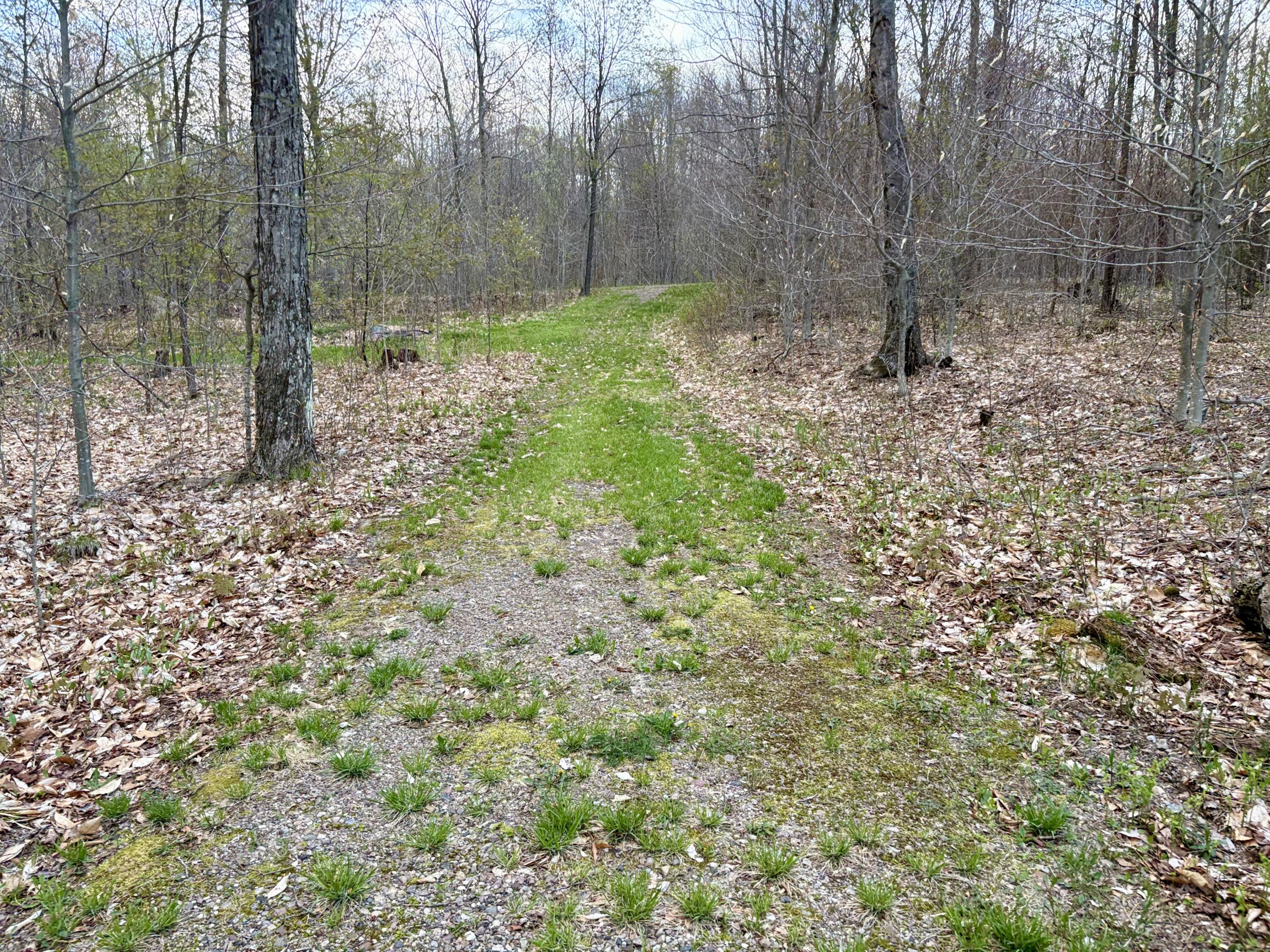 98 Chase Road, Dickinson Center, New York image 32