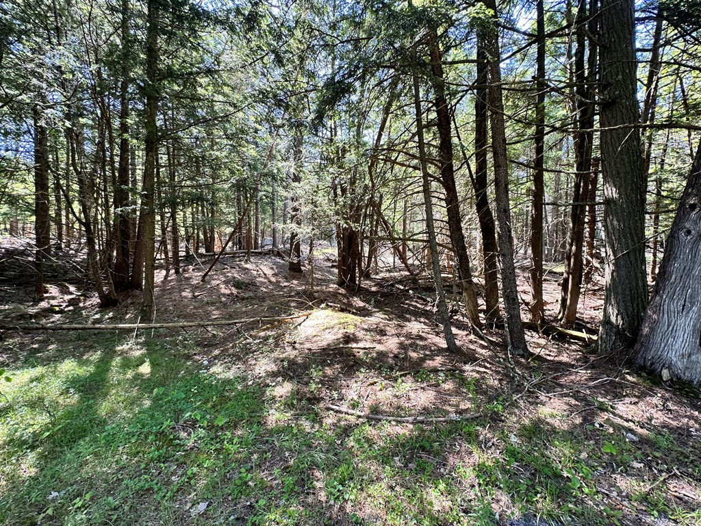 Mellow Way (lot #8), Wilmington, New York image 4