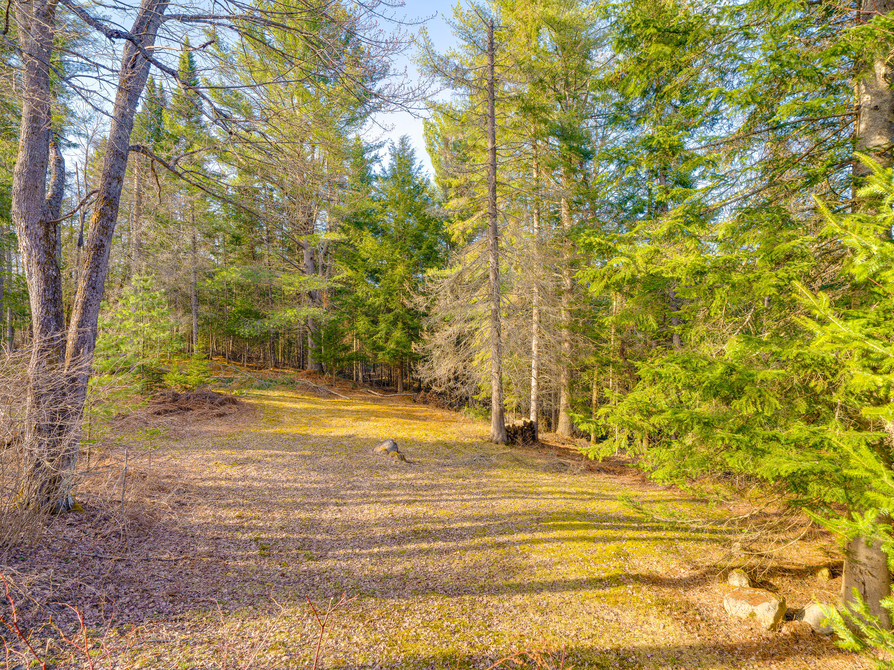 19 Blueberry Hill Road, Tupper Lake, New York image 26