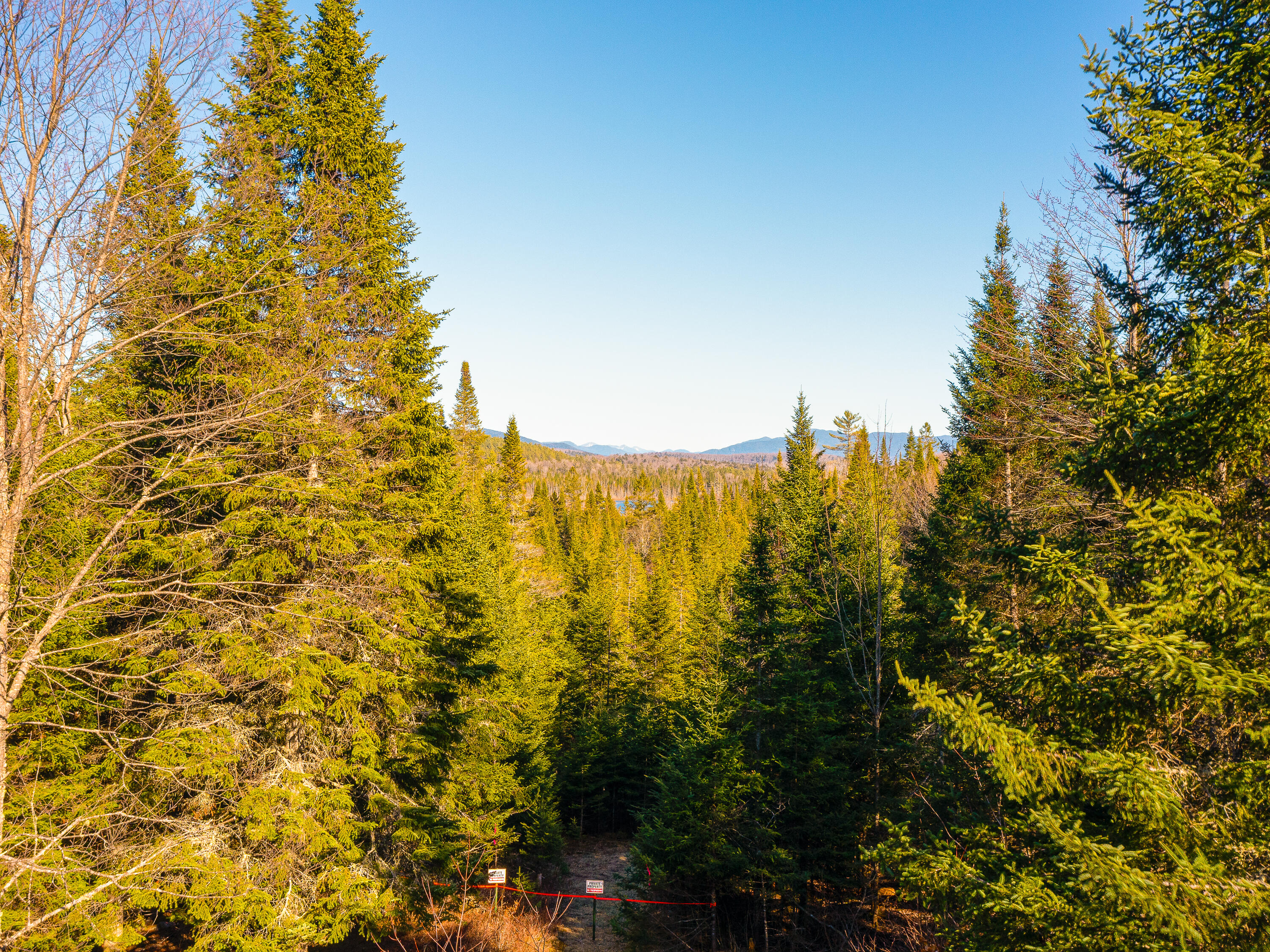 19 Blueberry Hill Road, Tupper Lake, New York image 15