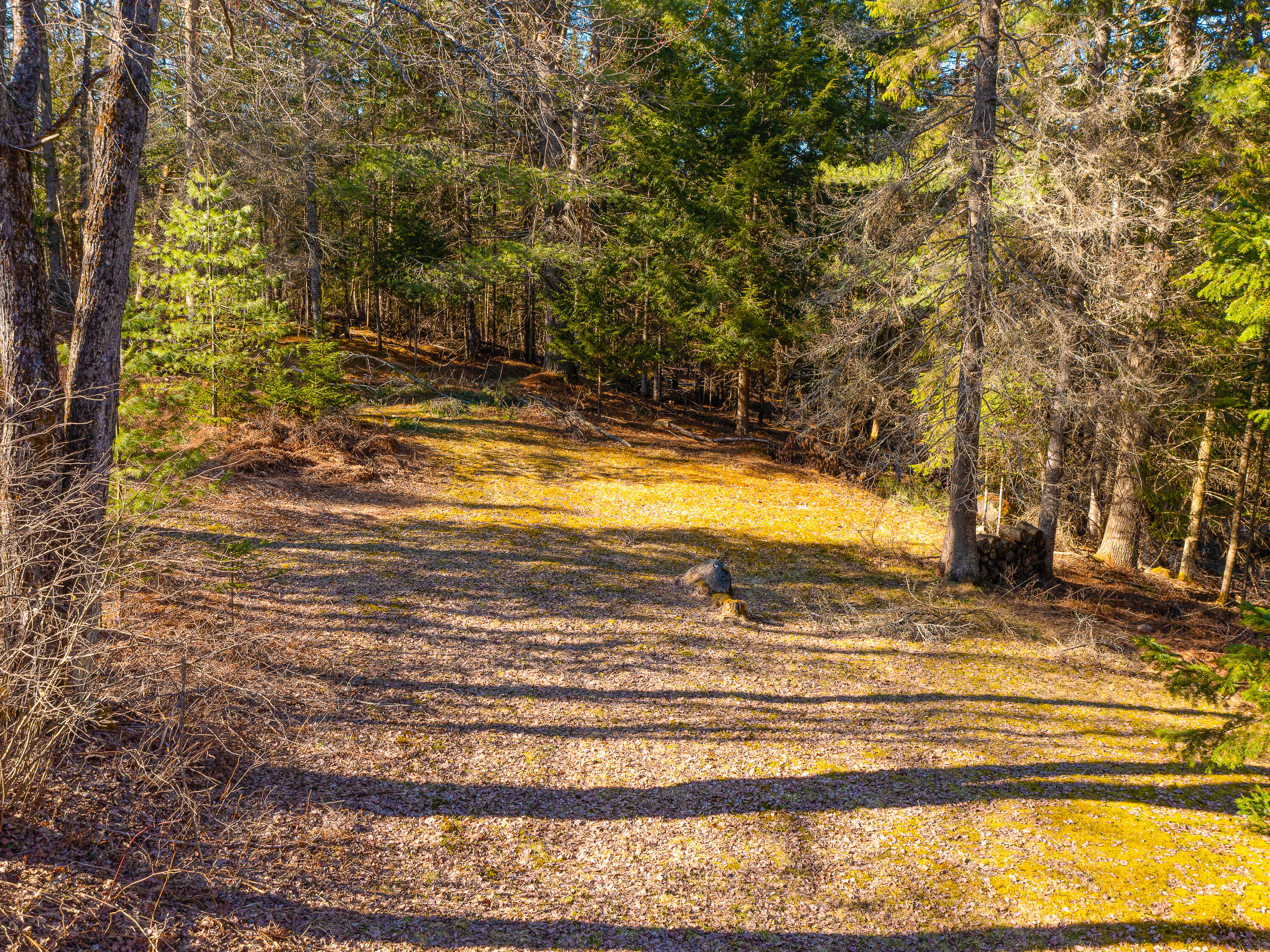 19 Blueberry Hill Road, Tupper Lake, New York image 16