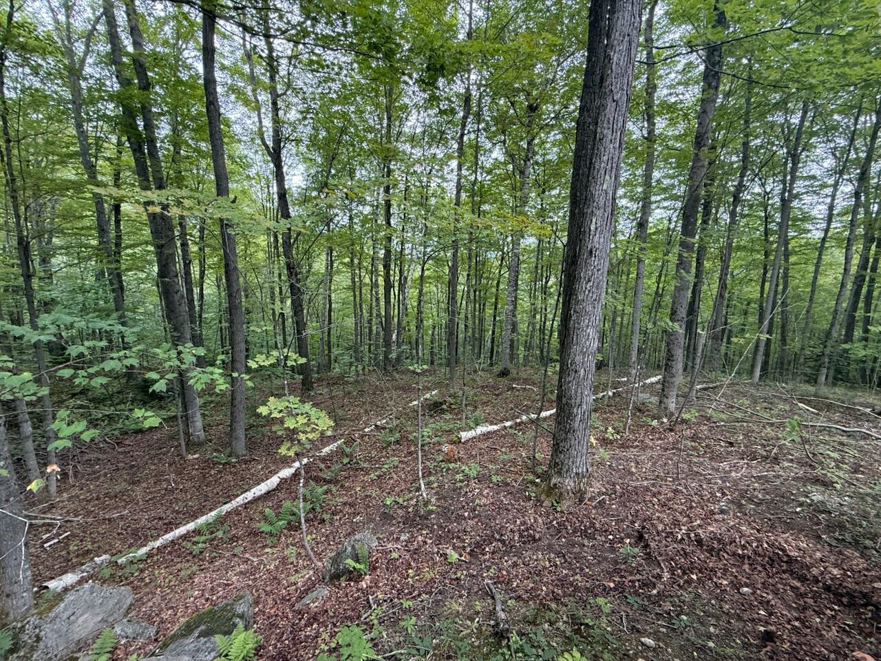 00 Adrians Acres Ln
