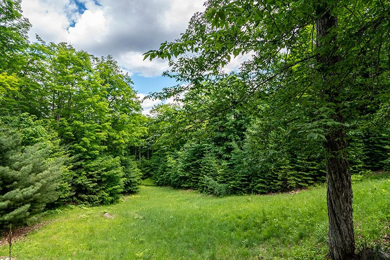 Lake Placid, New York 12946, United States, 9 Bedrooms Bedrooms, ,9 BathroomsBathrooms,Residential,Active,125895