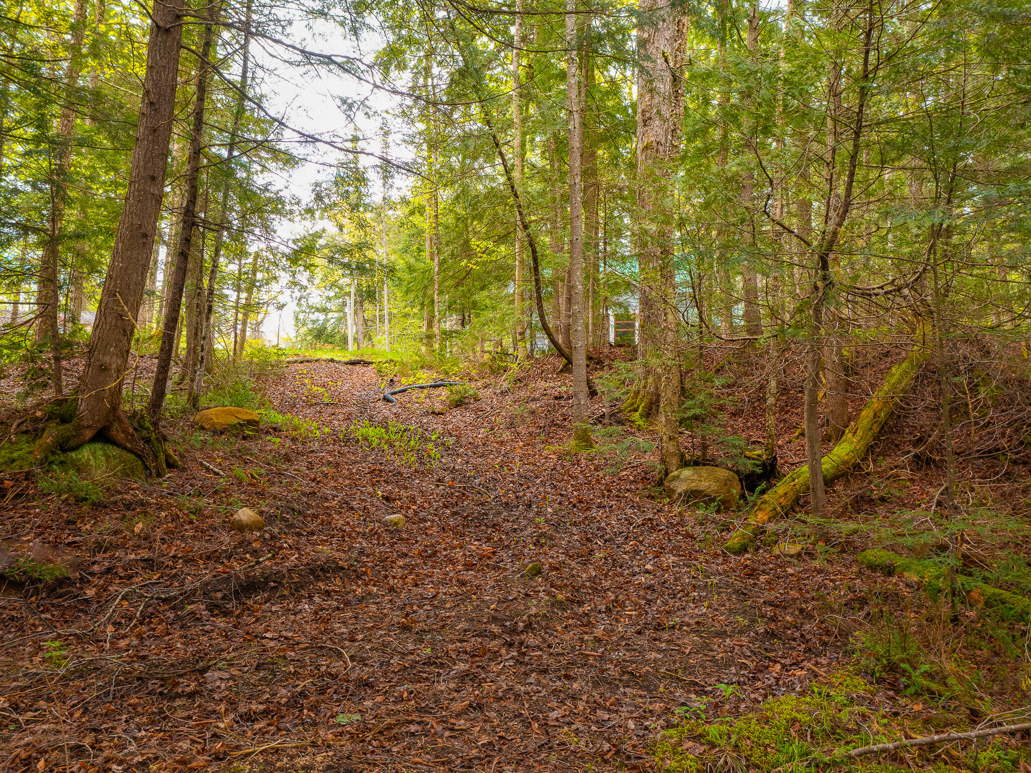 Johnson Rd Road, Newcomb, New York image 16