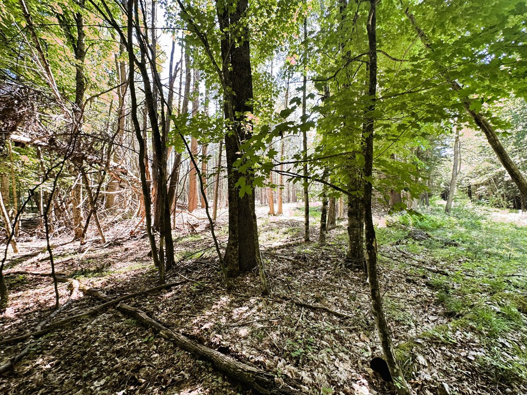 Mellow Way (lot #5), Wilmington, New York image 4