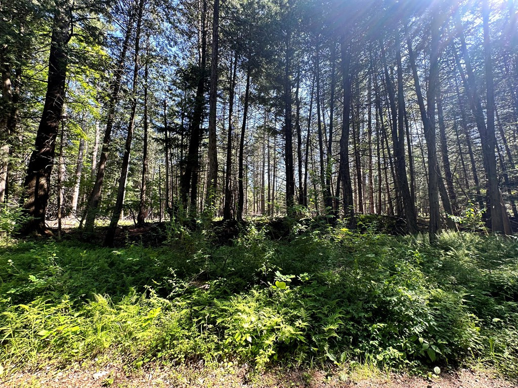 Mellow Way (lot #5), Wilmington, New York image 7