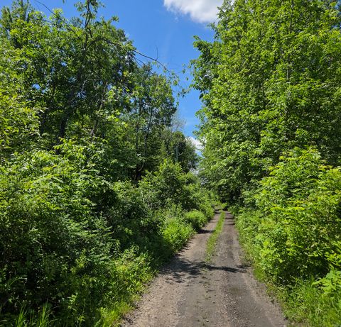Vacant Land For Sale - Mill Road<br/> Moira, NY 12957