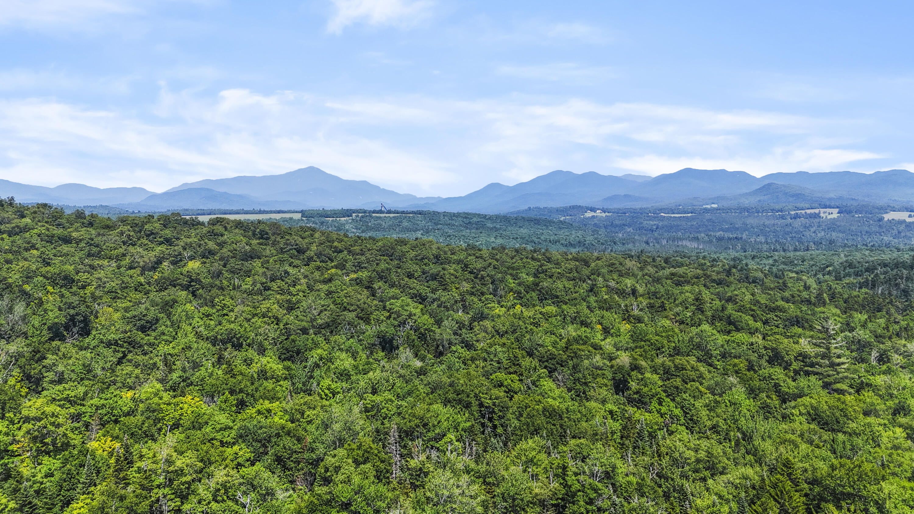 359 Bear Cub Lane #6