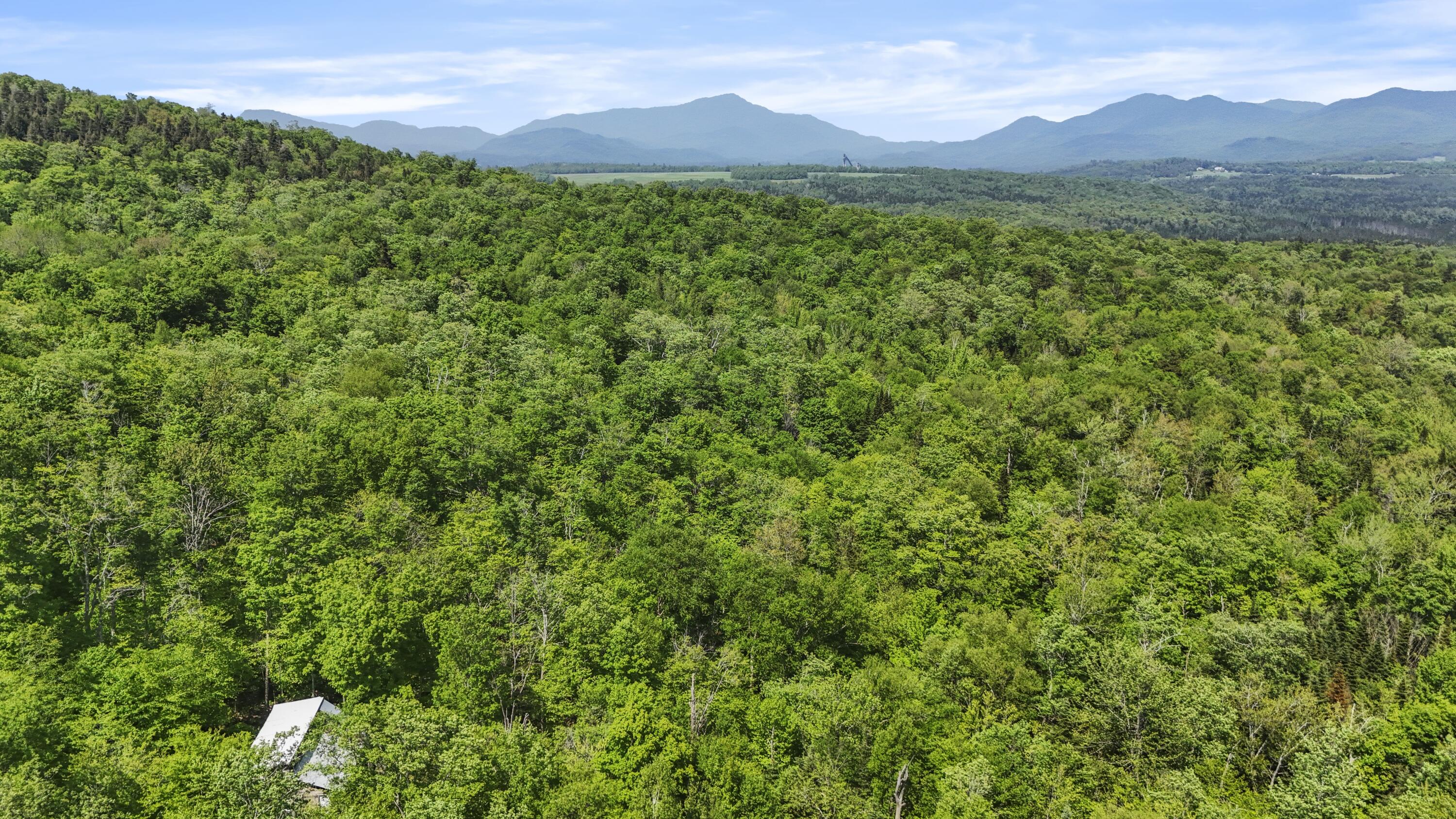 359 Bear Cub Lane #6