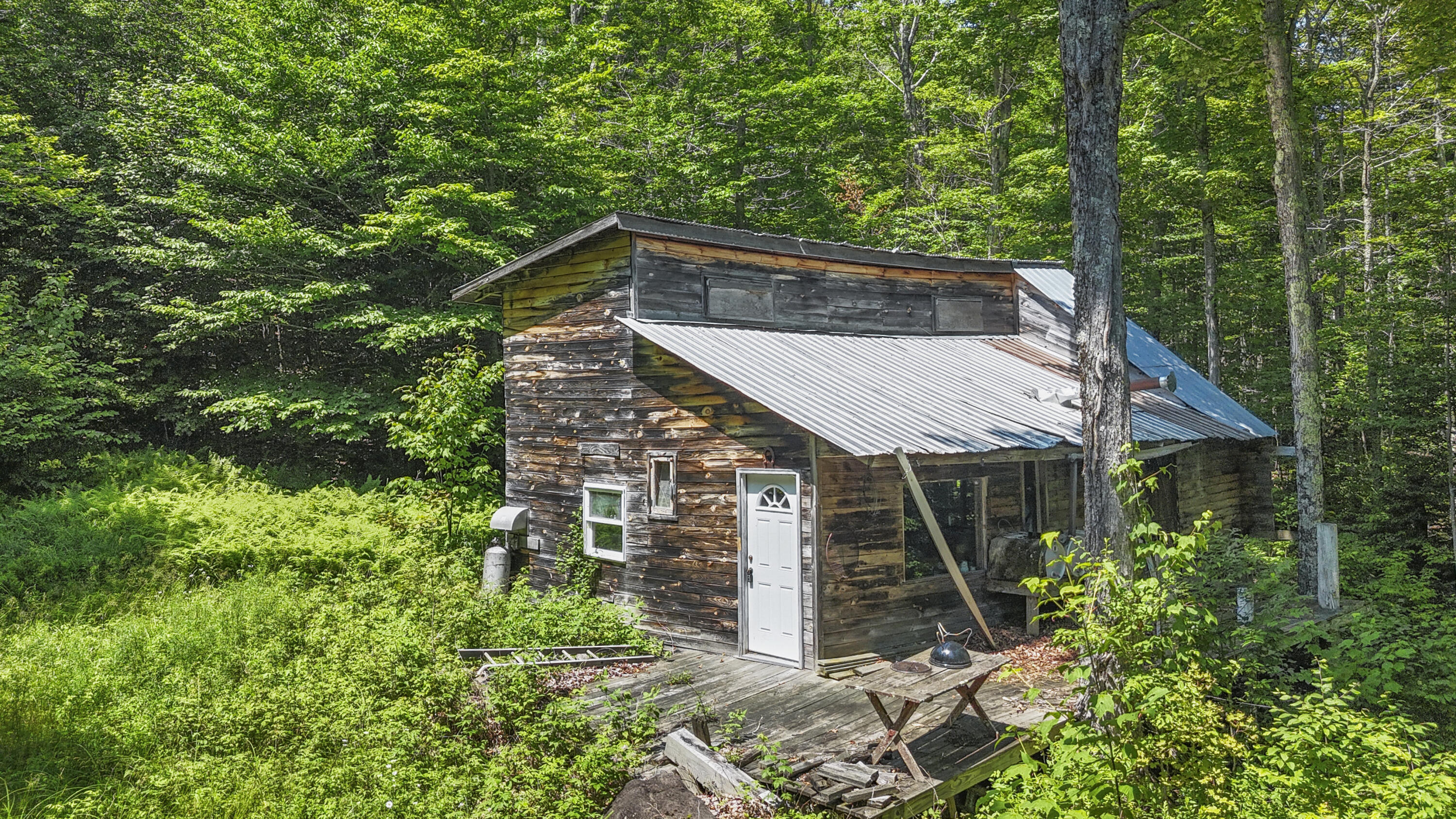 359 Bear Cub Lane #6