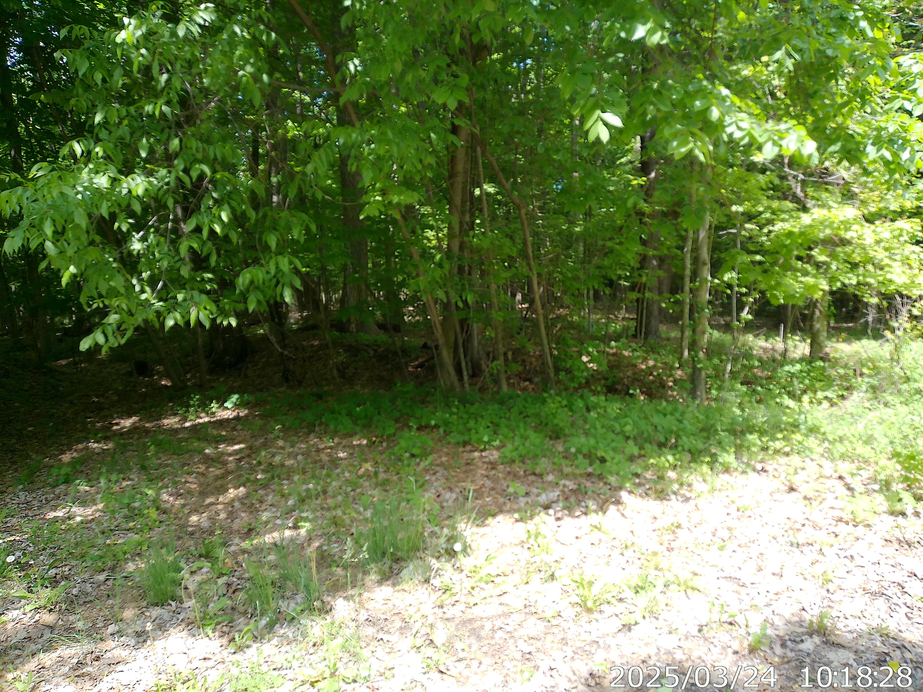 Vista Drive, Willsboro, New York image 1