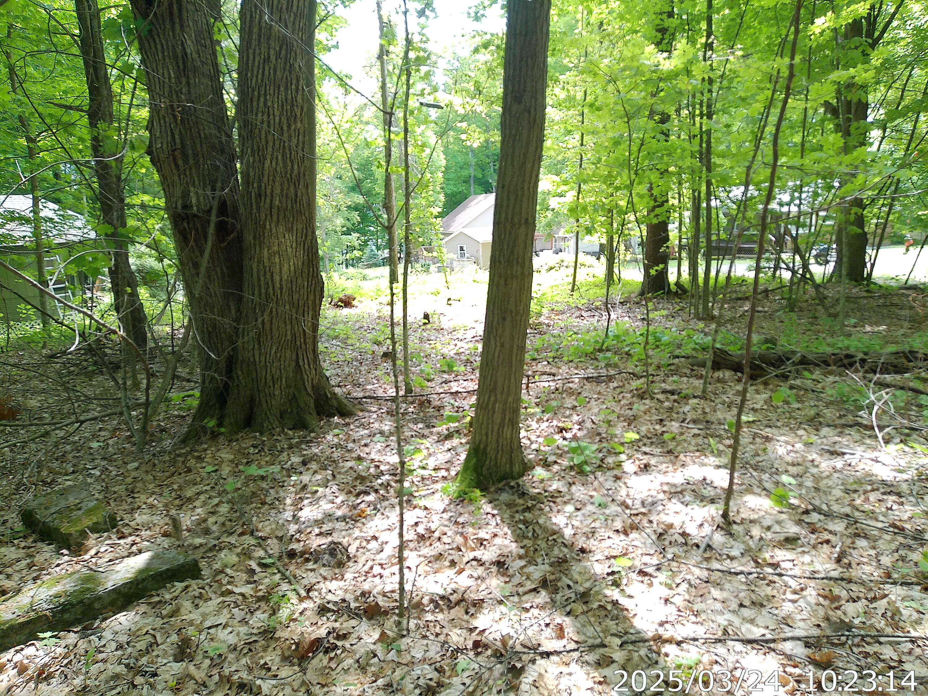 Vista Drive, Willsboro, New York image 10