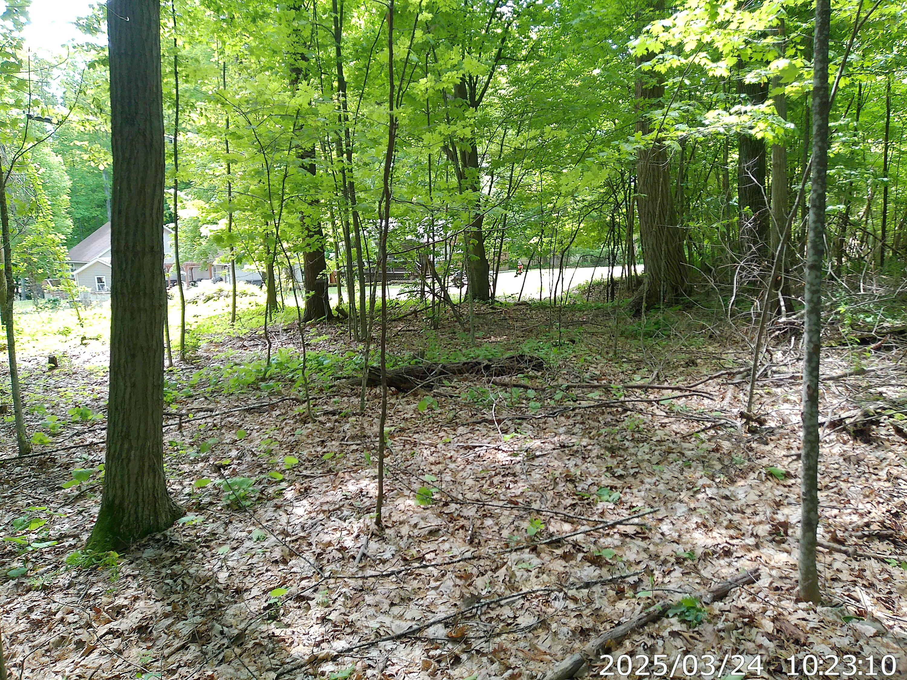 Vista Drive, Willsboro, New York image 9