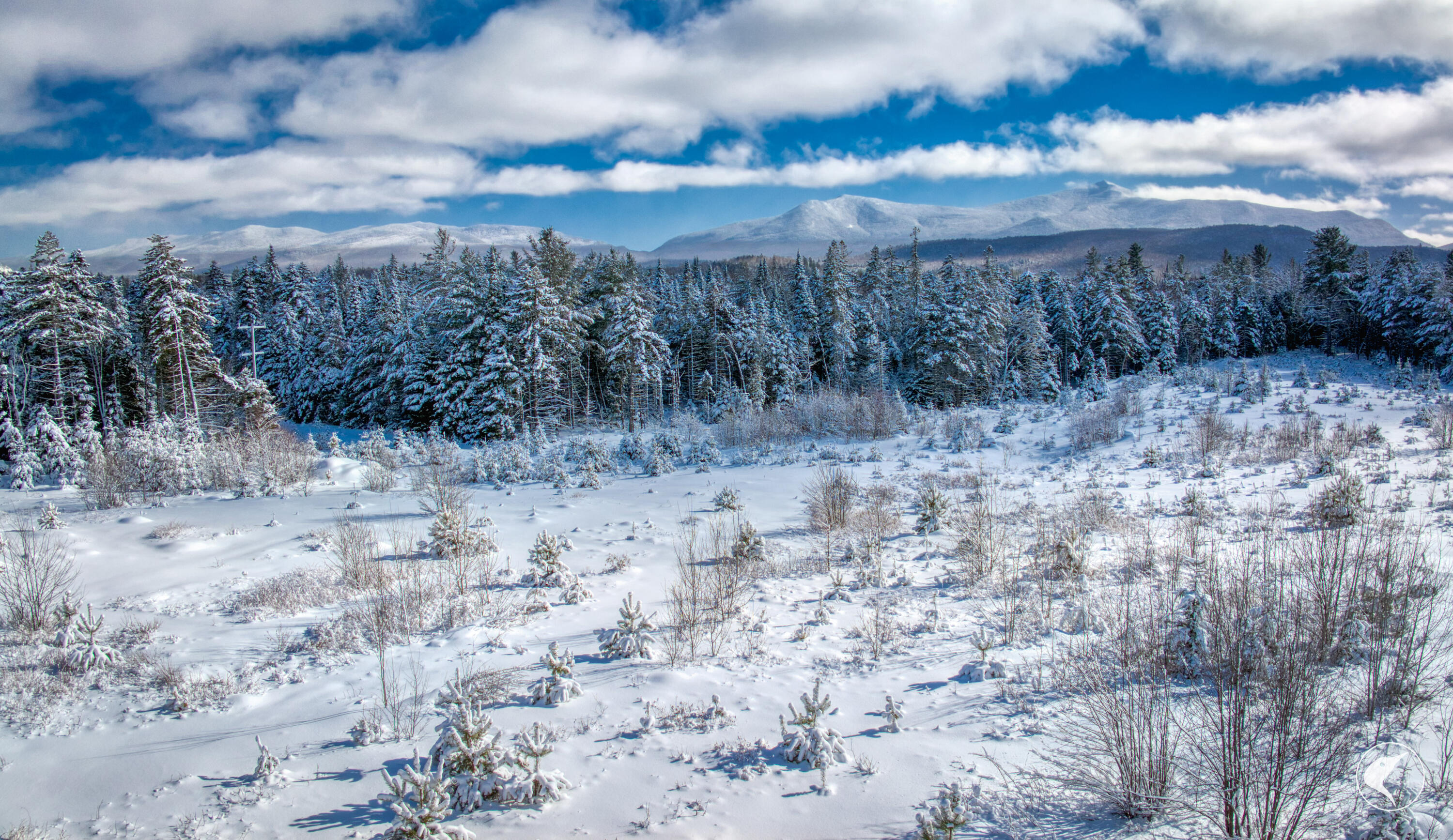 Fletcher Farm Road, Vermontville, New York image 18