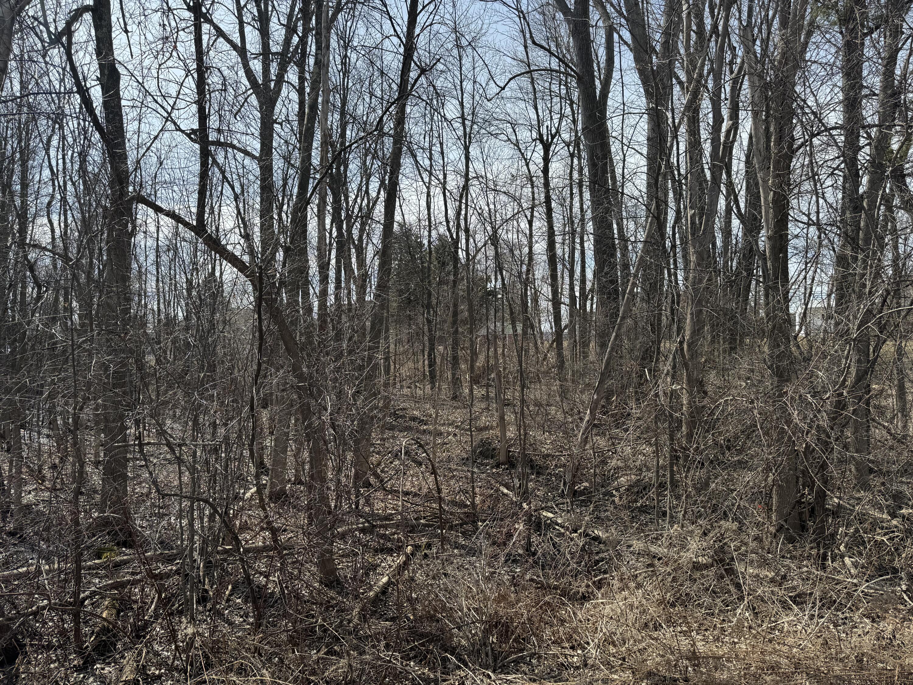 Cumberland Head Road, Plattsburgh, New York image 4