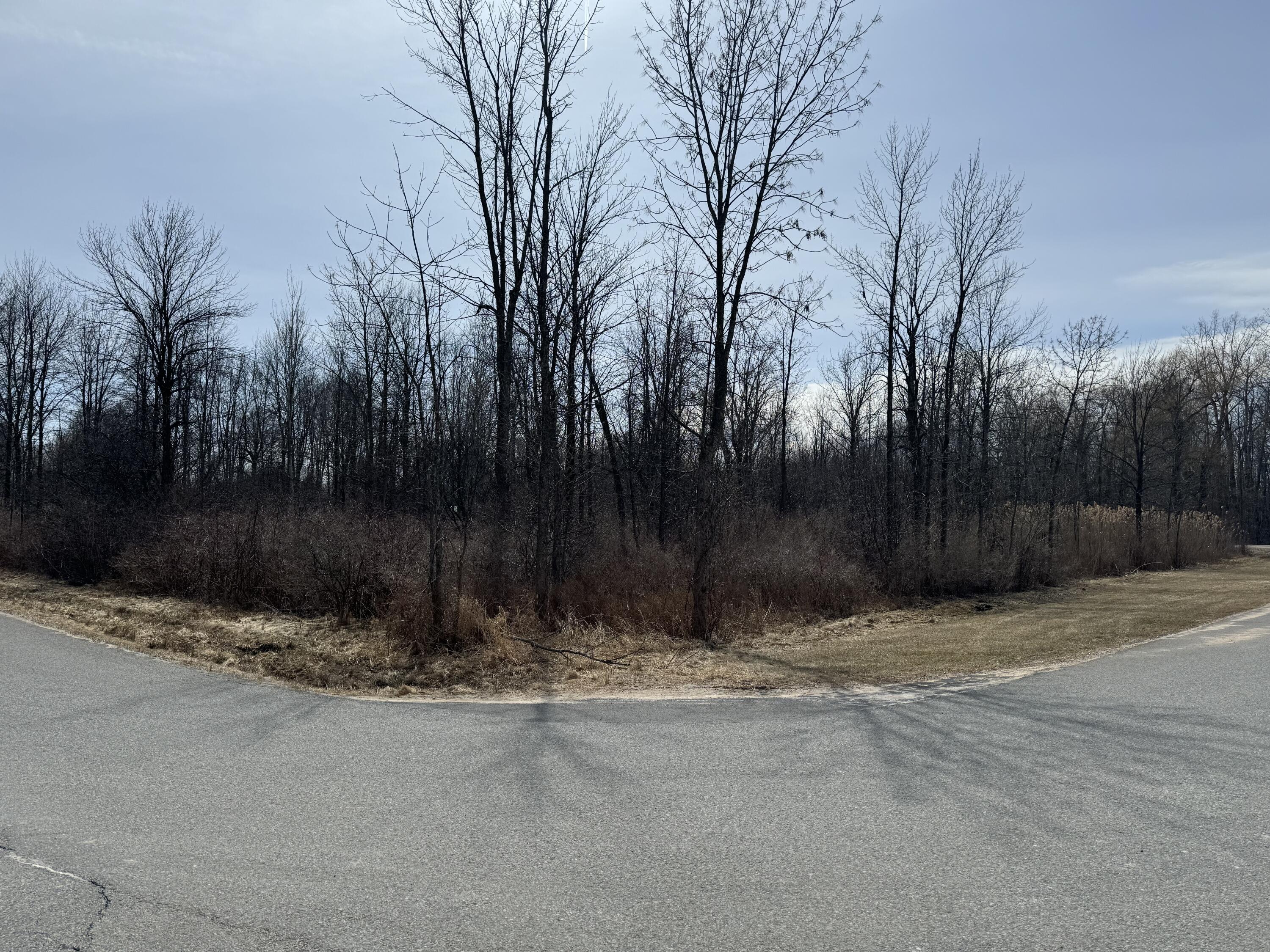 Cumberland Head Road, Plattsburgh, New York image 12