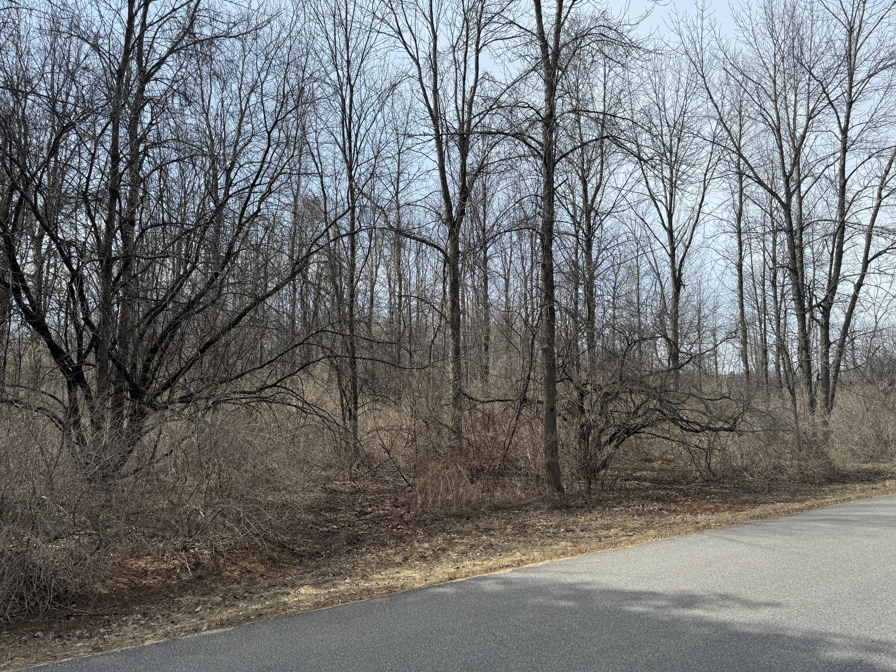 Cumberland Head Road, Plattsburgh, New York image 9