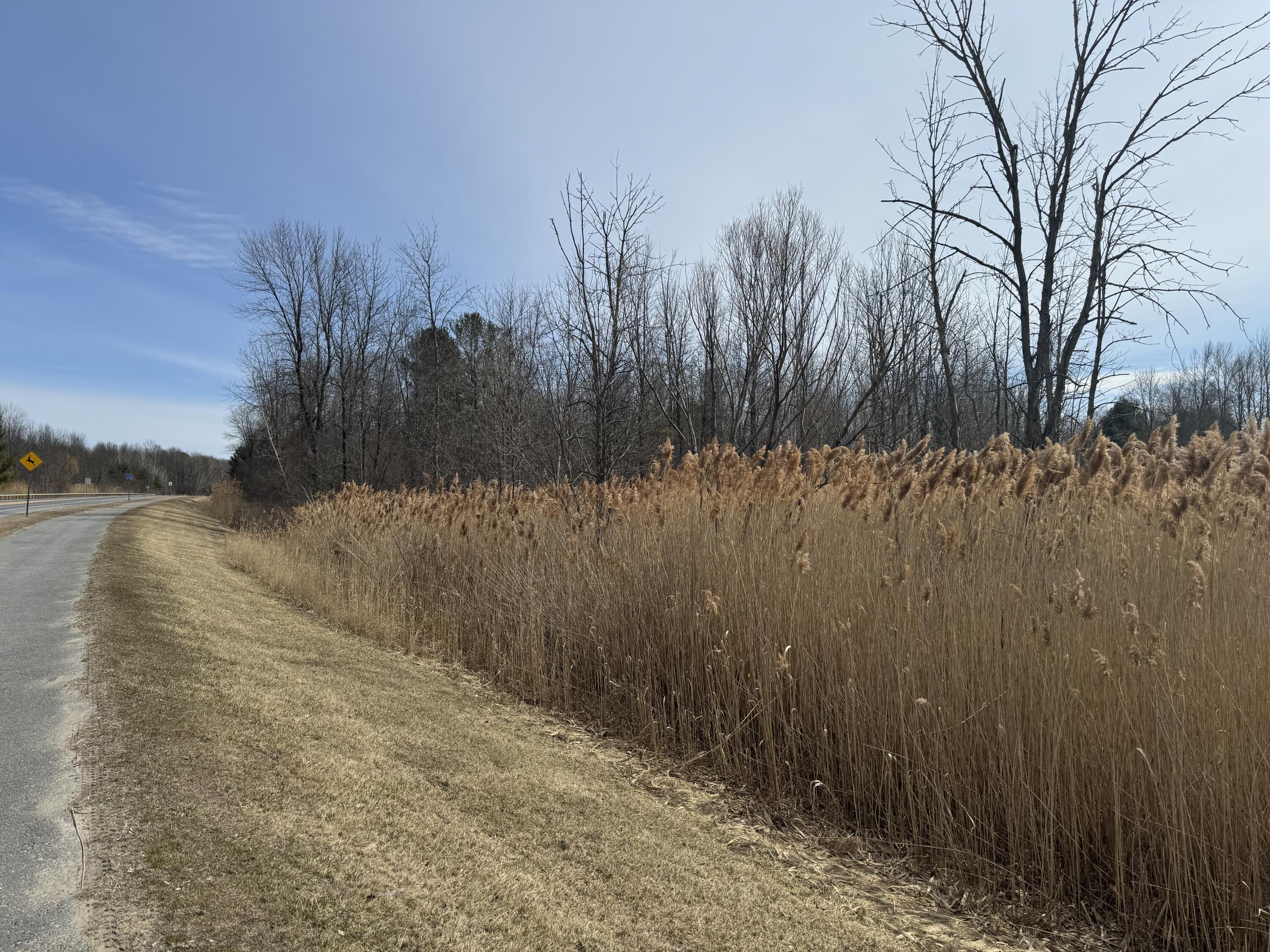 Cumberland Head Road, Plattsburgh, New York image 13